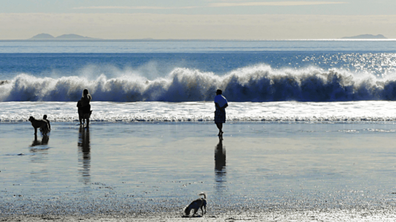 Winter Ocean Views in Coronado
