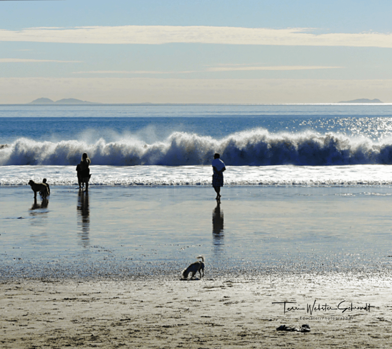 Wordless Wednesday: In Oceans&nbsp;Deep