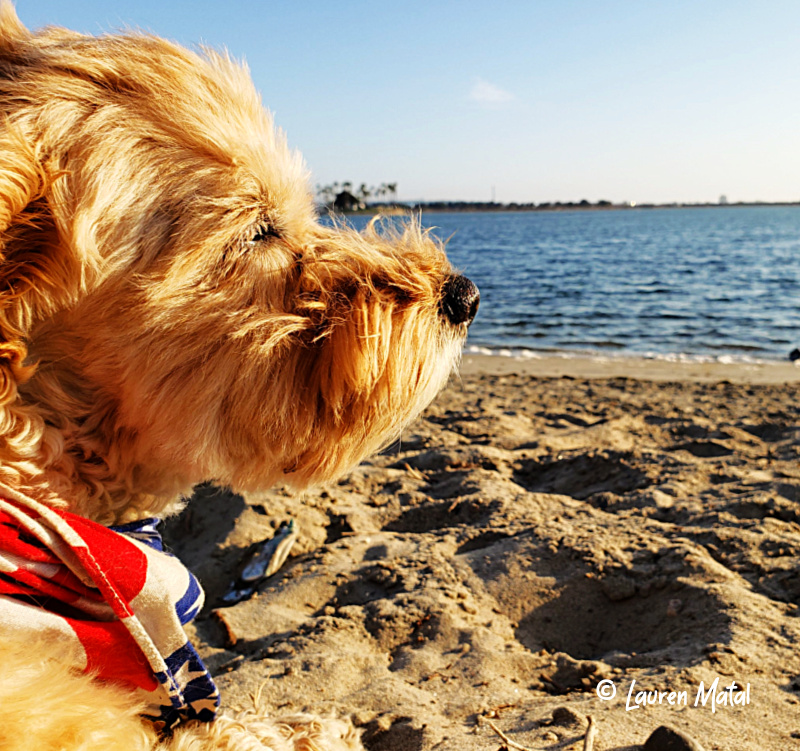 Sunday Stills: Beautiful #Beaches That Float My&nbsp;Boat