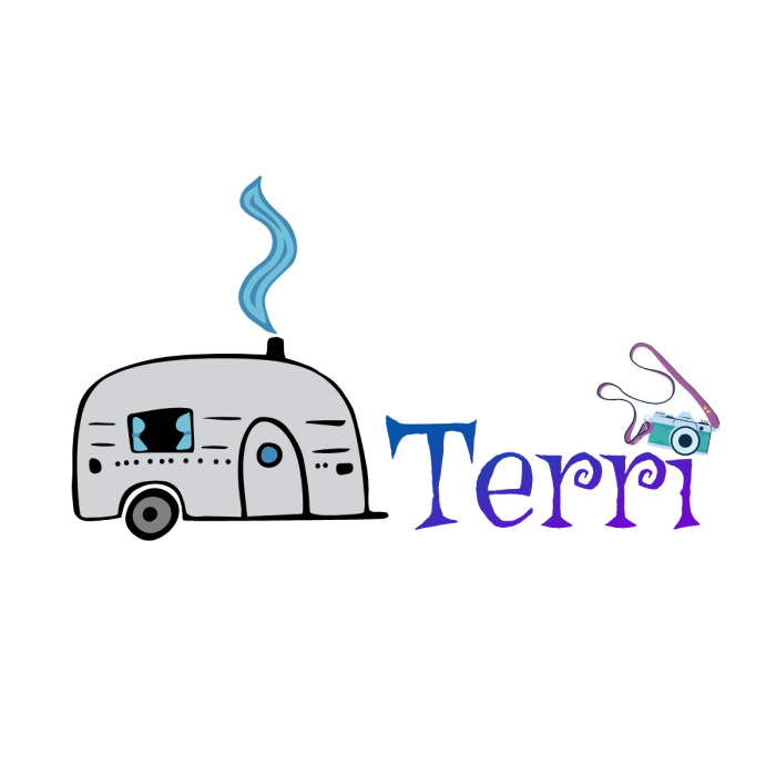 Travel signature camera