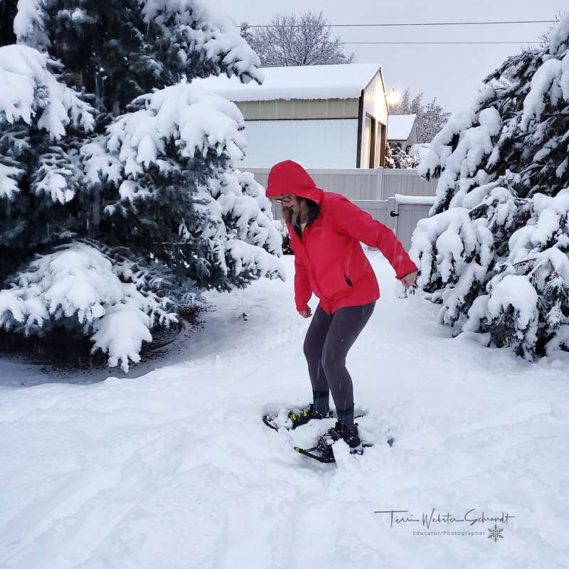 Fitness Friday: #Walks For all&nbsp;Seasons