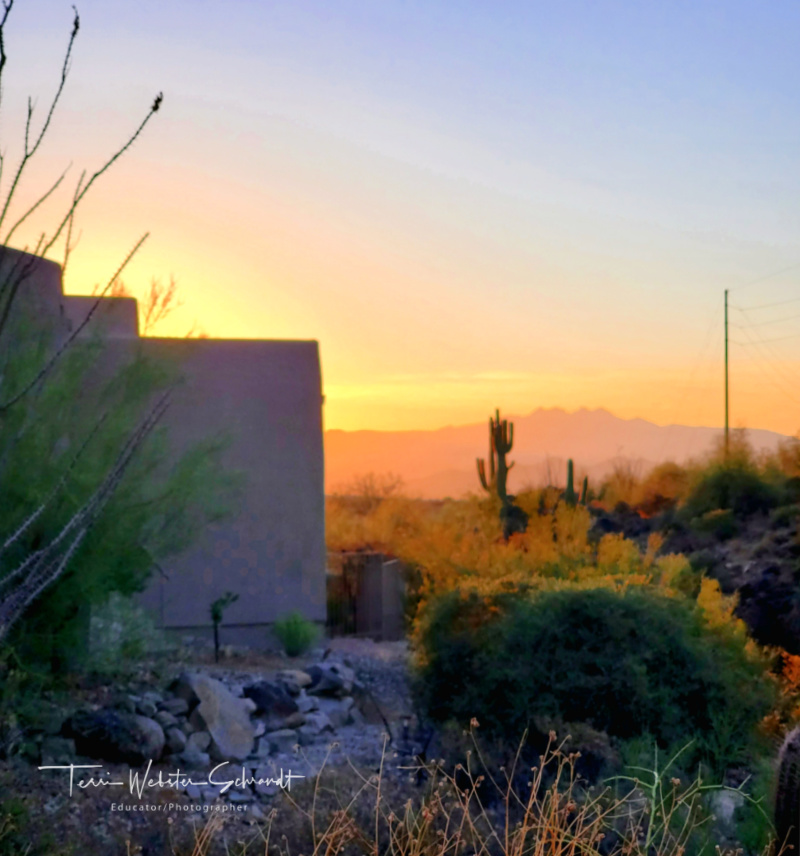 Sunday Stills: #Dessert in the&nbsp;#Deserts