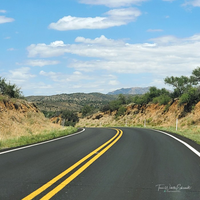 road through Prescott