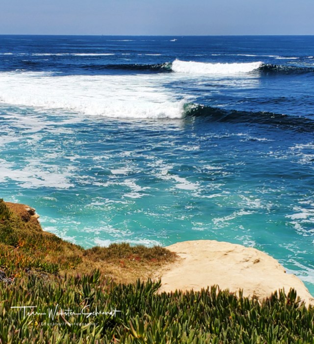 Summer day at La Jolla