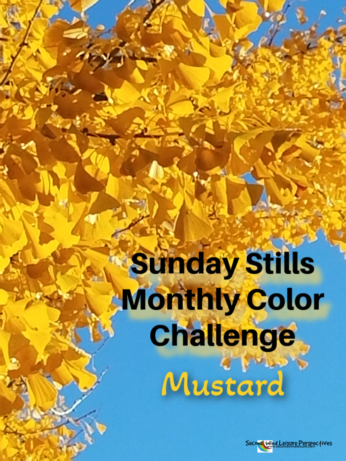 Sunday Stills Monthly Color Challenge: Is #Mustard a Color or a&nbsp;Condiment?