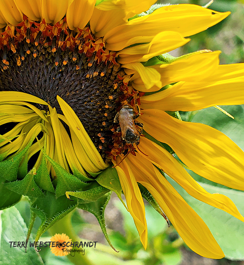 Sunday Stills: Sum, Sum&nbsp;#Summertime