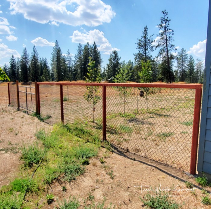Finished rural fence