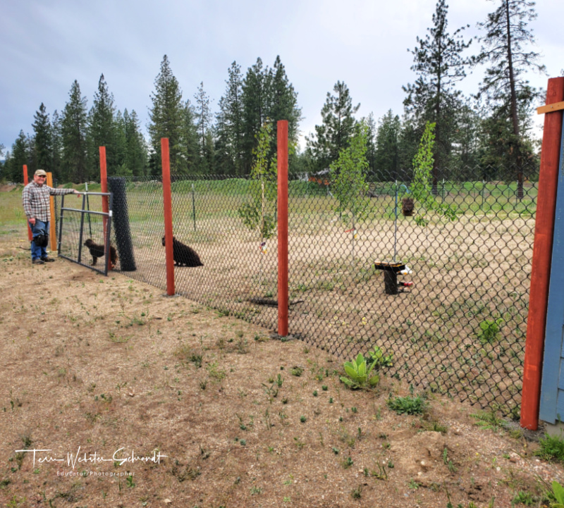 rural fence construction