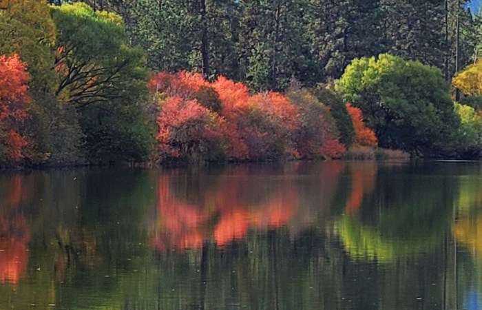 October Day in Nine Mile Fall, WA