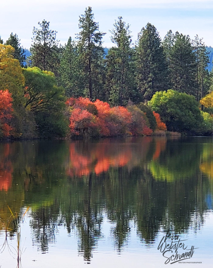 Wordless Wednesday: October&nbsp;Sunlight