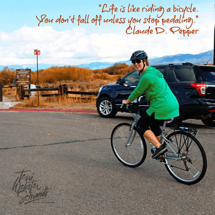 life is like riding a bicycle quote