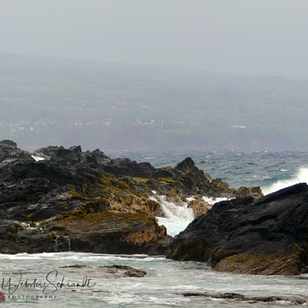 Lava Rocks of Hilo Bay