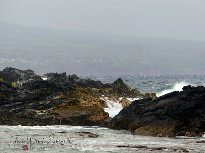 Lava Rocks of Hilo Bay