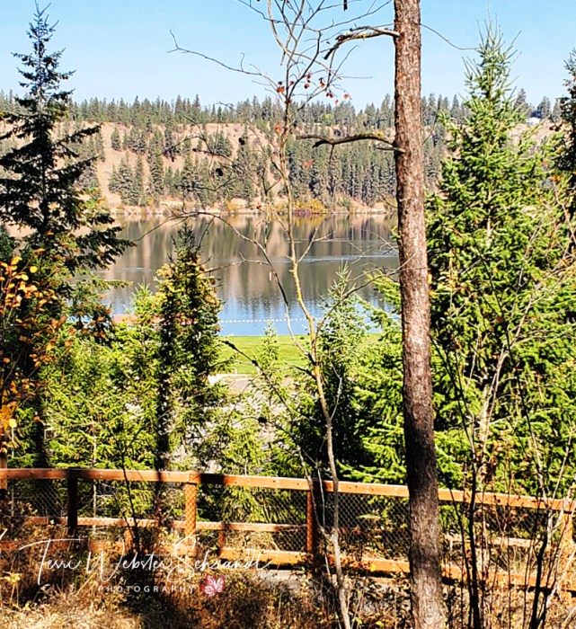 View of Lake Spokane