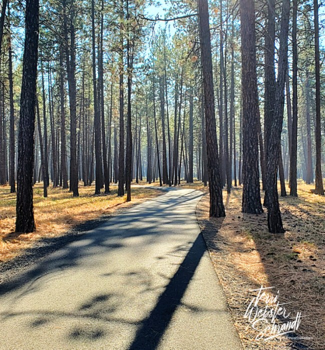 Centennial Trail Nine Mile Falls WA