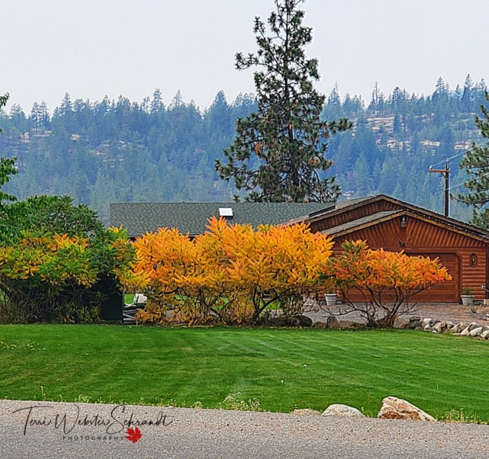Vivid Autumn Landscape
