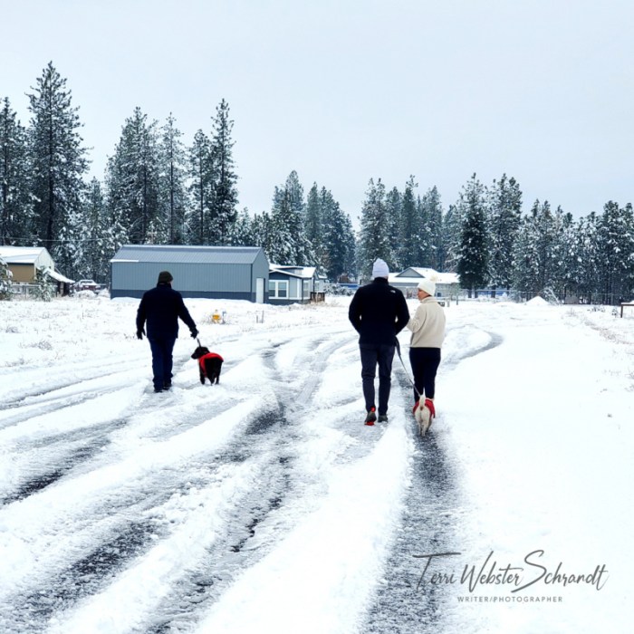 Walking in a Winter Wonderland
