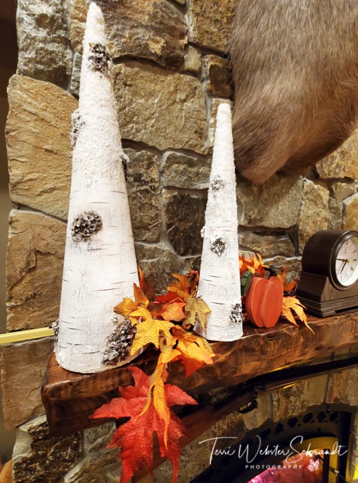 Vivid Thanksgiving Decor