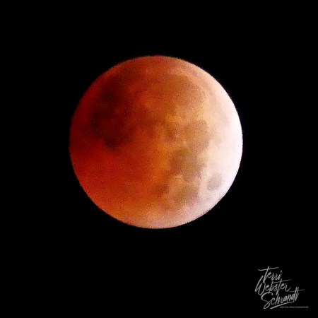November 2022 Lunar Eclipse