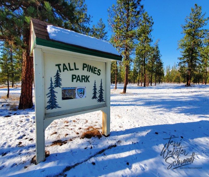 Tall Pines Park Lake Spokane Parks District