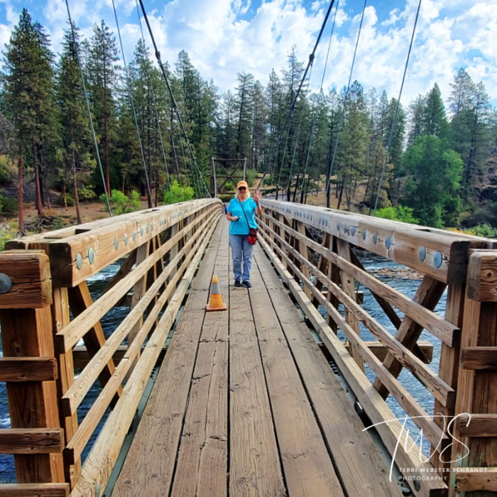 Bowl and Pitcher Suspension bridge