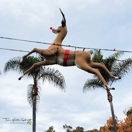 Rudolph Visits San Diego's Balboa Park