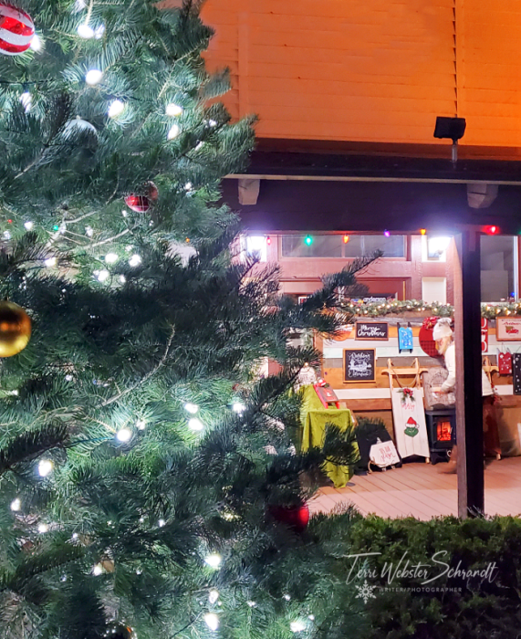 Christmas Tree Lighting 2021