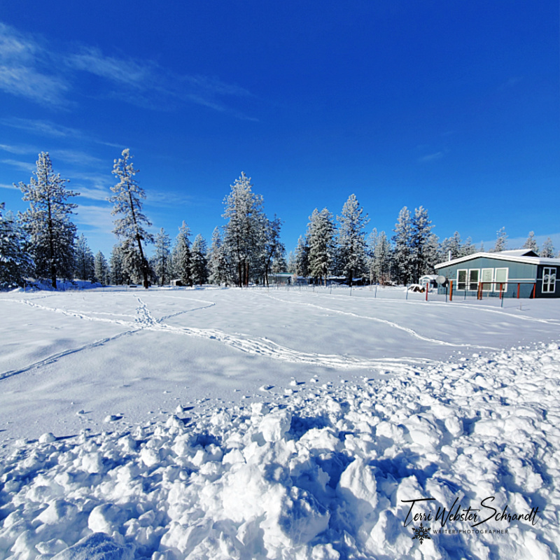 #WordlessWednesday: Empty Spaces are&nbsp;Fillable