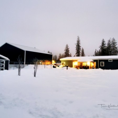 Snowy white Christmas