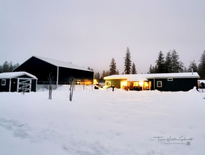 Snowy white Christmas