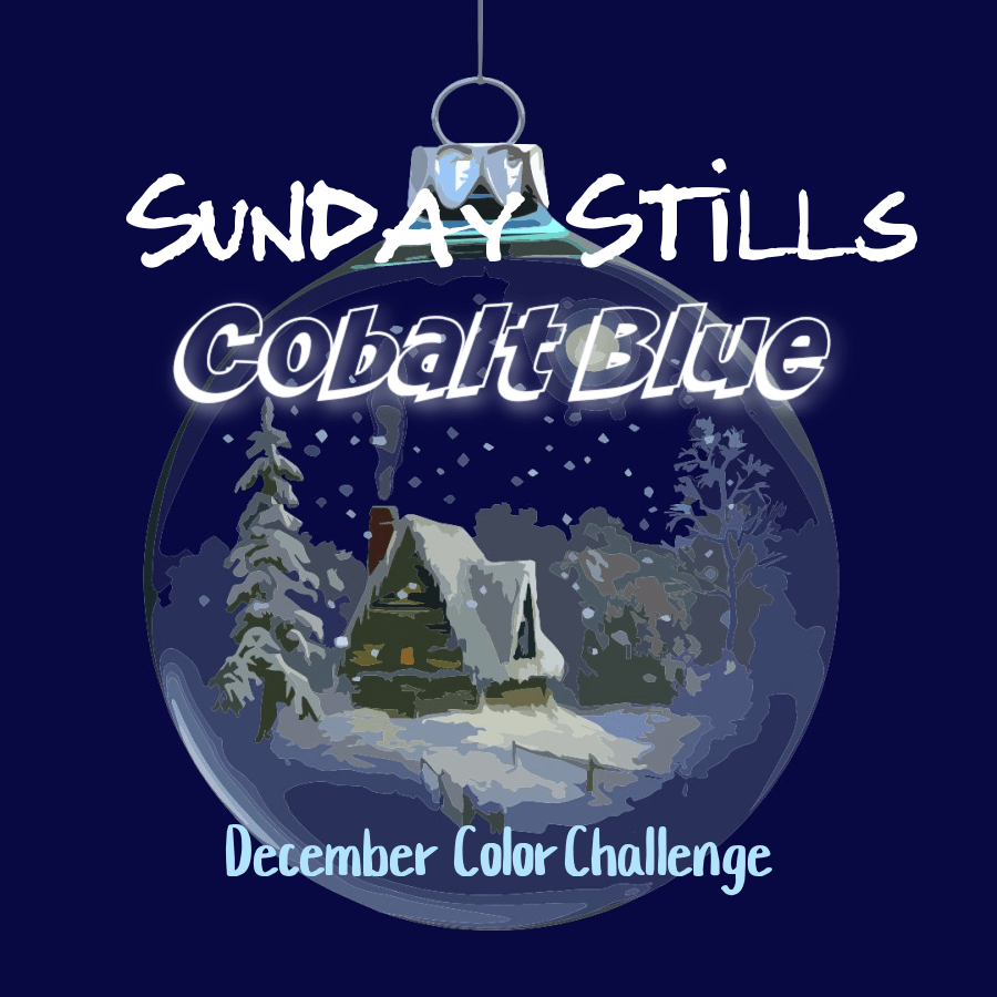 Sunday Stills Monthly Color Challenge: My World of #Cobalt&nbsp;Blue