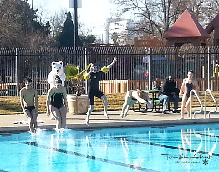 Polar Plunge at Public Swimming Pool