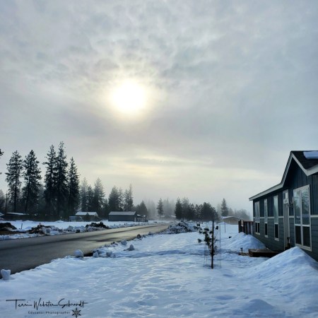 early morning sunlight snowy street