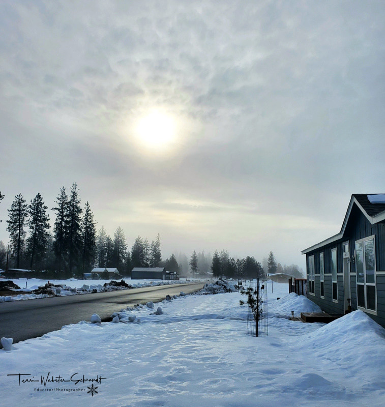 Sunday Stills: Snowy Sounds of&nbsp;#Silence