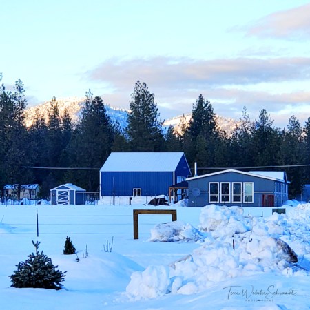 snow scene Tanka Tuesday