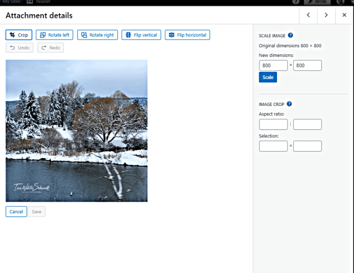how to edit image in WP
