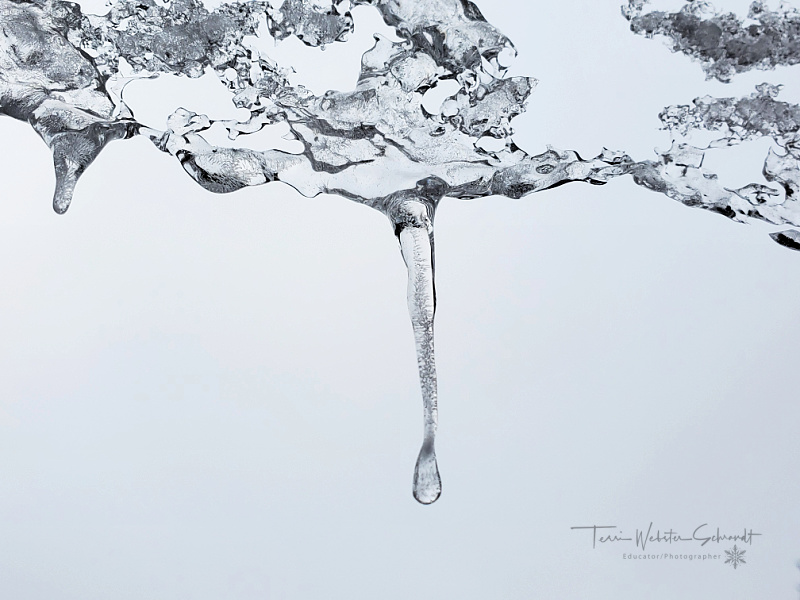 Sunday Stills: Feel Good&nbsp;#Frosty
