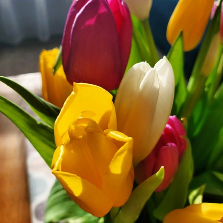 Tulip Bouquet