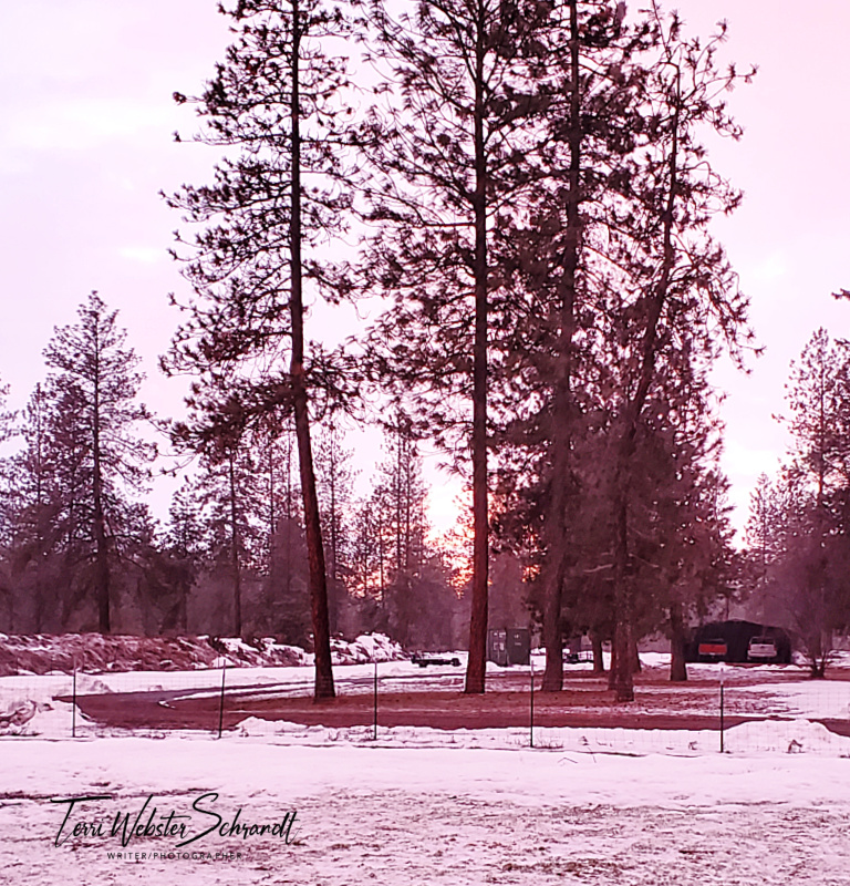 #WordlessWednesday: Pink Frosting&nbsp;Leftovers