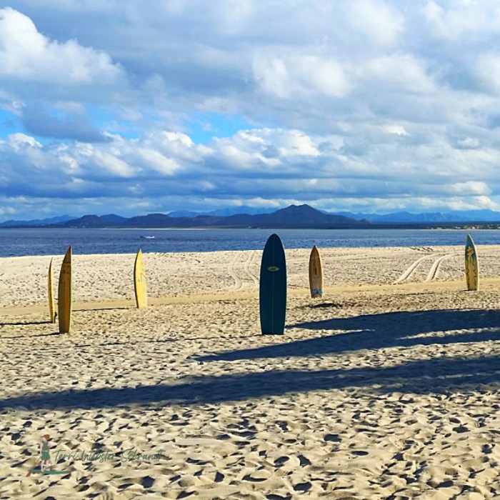 Mandatory Board Meeting