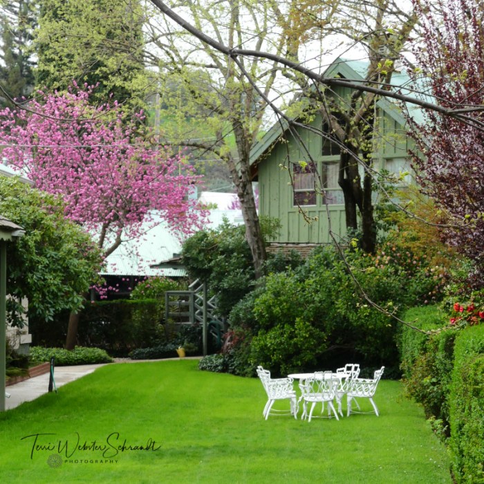 pastoral setting Sutter Creek