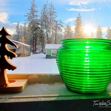 Green vase in transom window