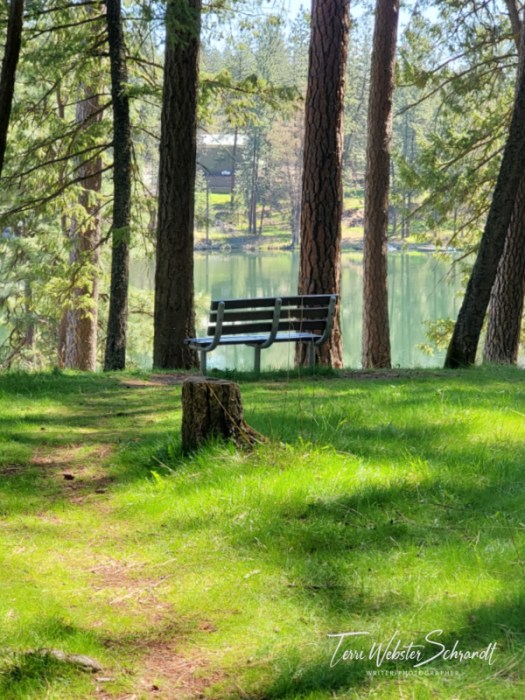 View from the Centennial Trail