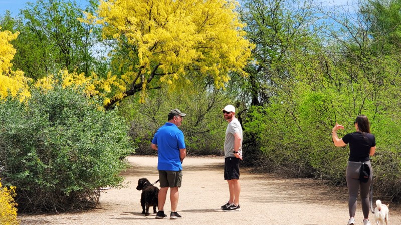 Strolling through Gilbert Riparian Reserve