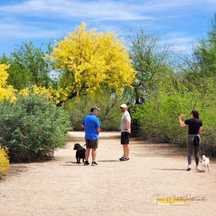 Strolling through Gilbert Riparian Reserve