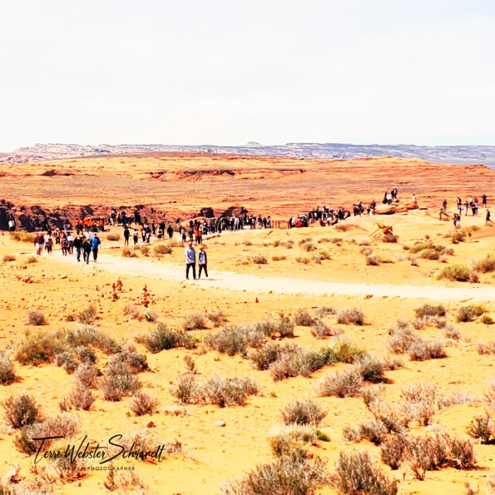 Throngs of people visit Horseshoe Bend State Park