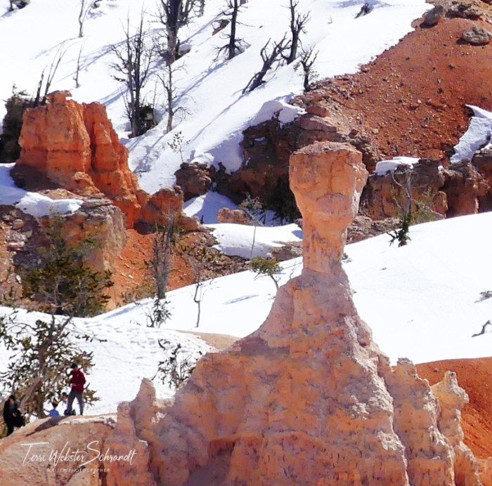 Bryce Canyon Brontosaurus