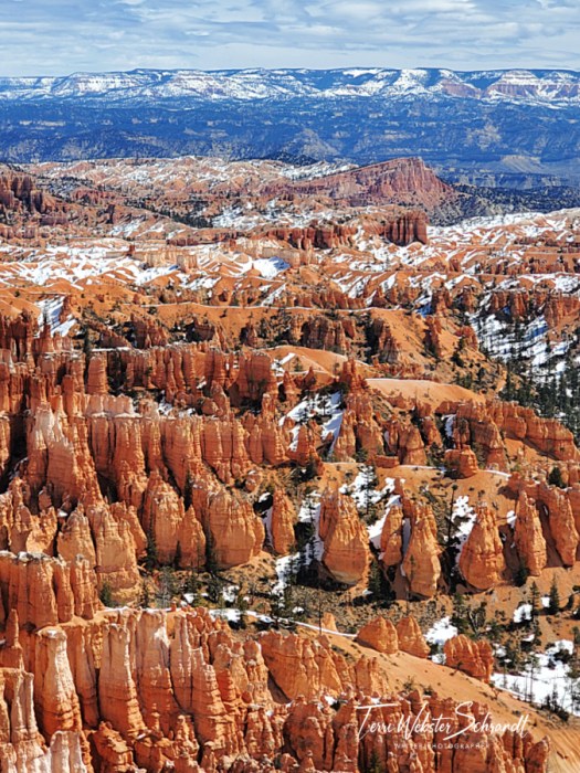 Bryce Canyon's Spires and Fins