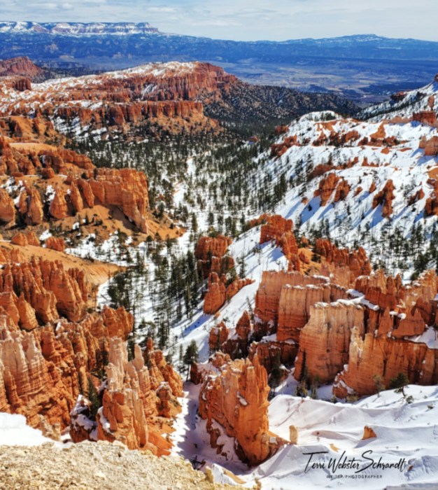 Snow-covered Bryce Canyon Hoodoos