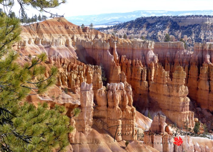 Wall of Windows from Bryce Point